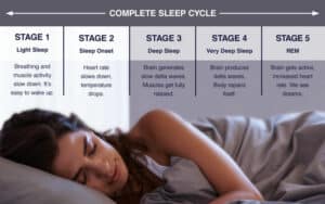 stages of sleep